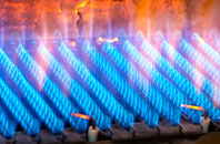 Edern gas fired boilers